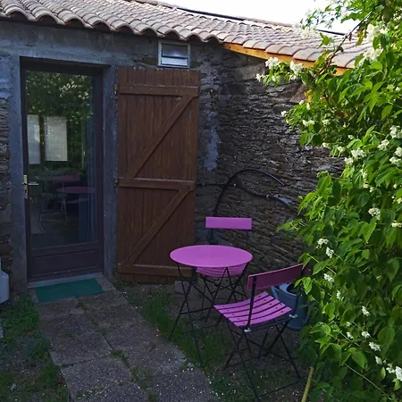 Le Doux Repos Chauve
